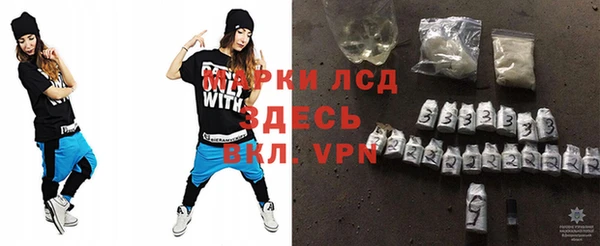 стаф Аркадак