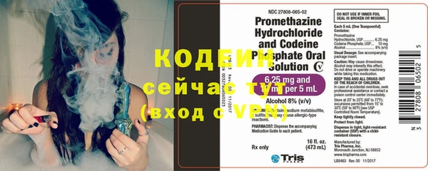 прущий лед Алзамай